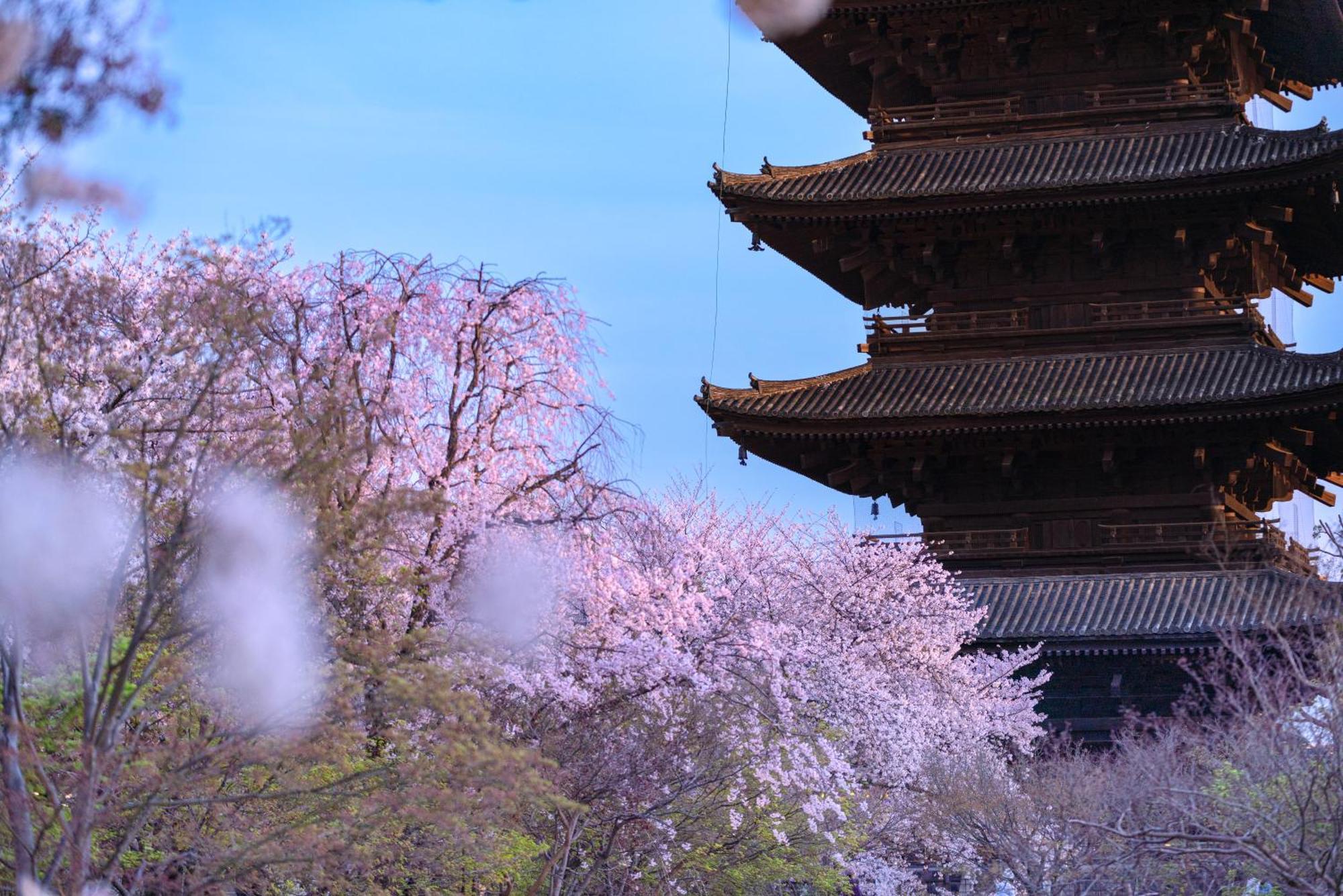Omo3 Kyoto Toji By Hoshino Resorts Exterior photo